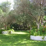 Polymnia سبارتيا
