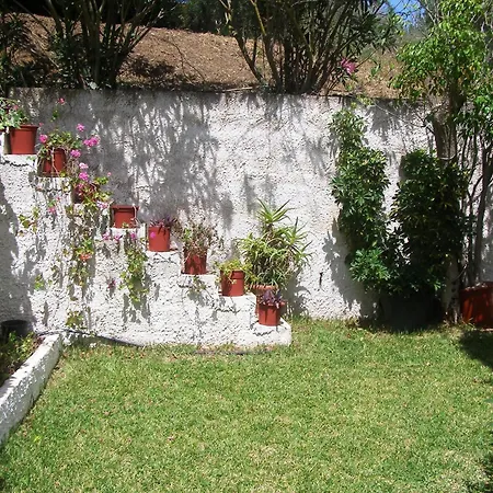 Polymnia Sparta