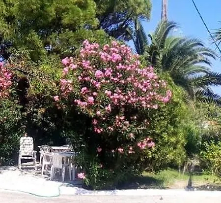 Polymnia Apartment Sparta