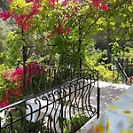 Polymnia * ספרטיה