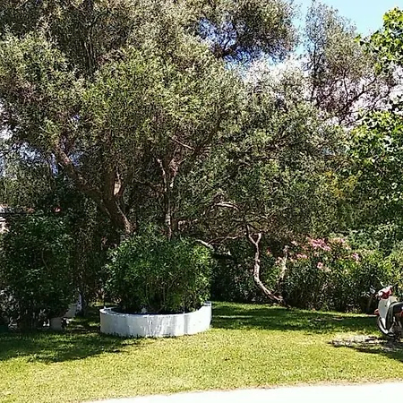 Polymnia Apartament *