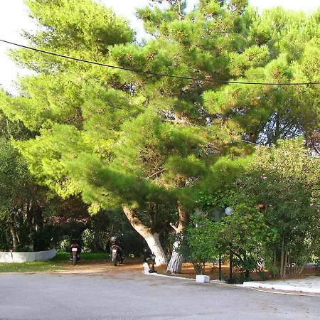 Polymnia Spartia (Kefalonia)