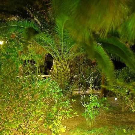 Polymnia Lägenhet Spartia (Kefalonia)